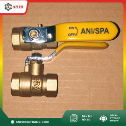 VAN BI ĐỒNG ANI/SPA PHI 13