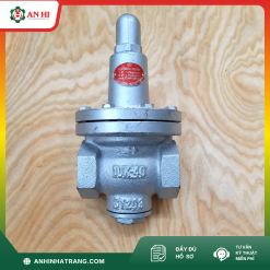 VAN GIẢM ÁP HƠI LẮP REN PHI 42 (ĐÀI LOAN)