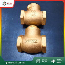 VAN 1 CHIỀU LÁ LẬT ĐỒNG KITZ PHI 49