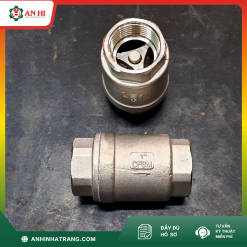 VAN 1 CHIỀU LÒ XO INOX 304 PHI 34