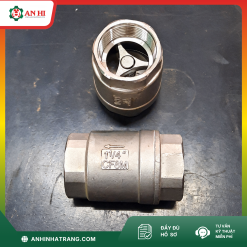 VAN 1 CHIỀU LÒ XO INOX 201 PHI 42