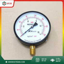 ĐỒNG HỒ THÉP PHI 160 15KG