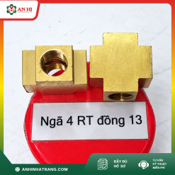 NGÃ 4 REN TRONG ĐỒNG 13