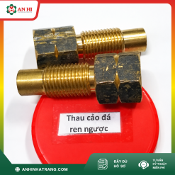THAU ĐÁ REN TRONG