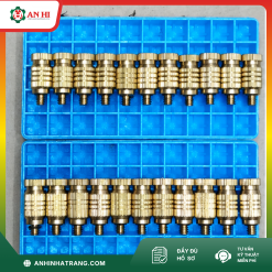 BÉC PHUN SƯƠNG ĐL SỐ 2