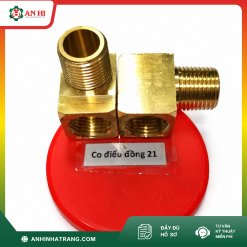 CO ĐIẾU ĐỒNG 21