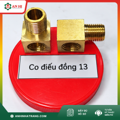 CO ĐIẾU ĐỒNG 13