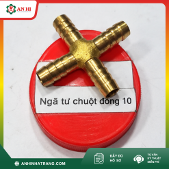 NGÃ TƯ CHUỘT ĐỒNG PHI 12