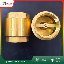 VAN 1 CHIỀU LÒ XO MIHA PHI 60
