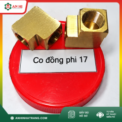 CO ĐỒNG PHI 17